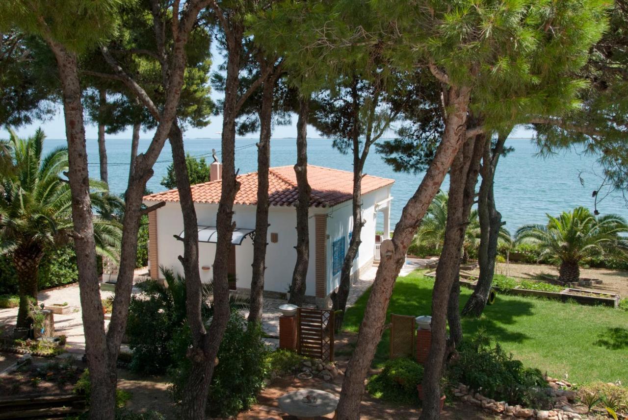 Villa Sargantana Blava Sant Carlos de la Ràpita Exterior foto